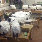 Workshops